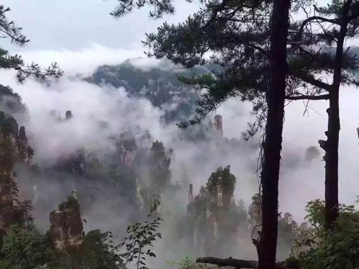 張家界國家森林公園+大峽谷3天2晚“驚險套餐”