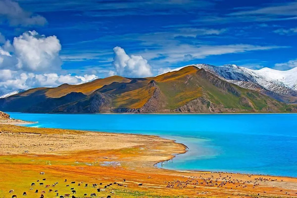 拉薩-林芝-巴松錯-魯朗-大峽谷-羊湖-圣象天門8晚9日